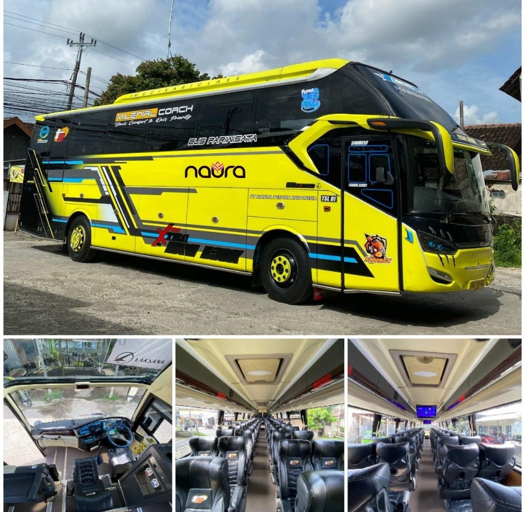 WhatsApp Image 2025-04-04 at 10.25.56